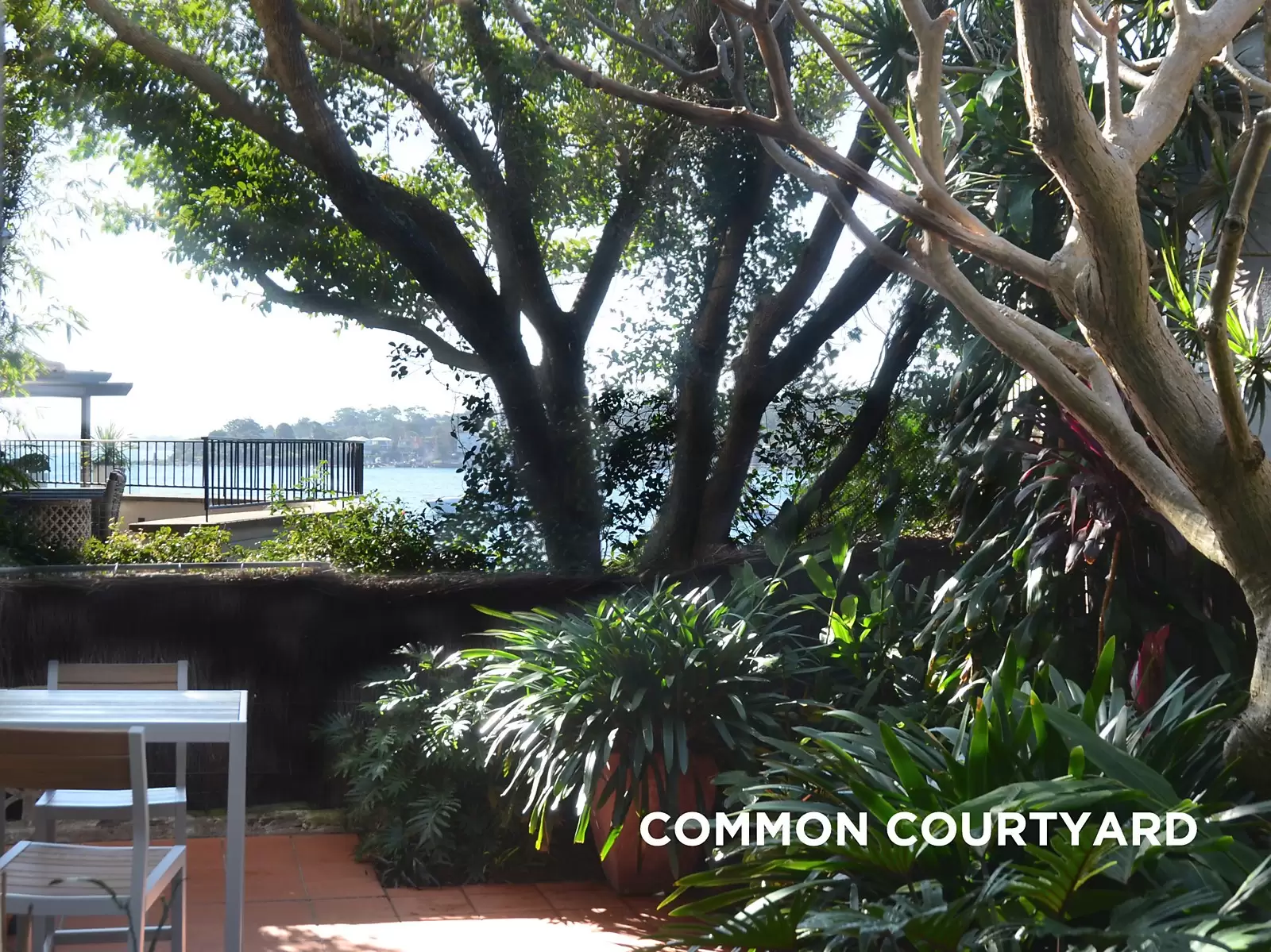 2/77 Fitzwilliam Road, Vaucluse, Vaucluse - Thumbnail 6