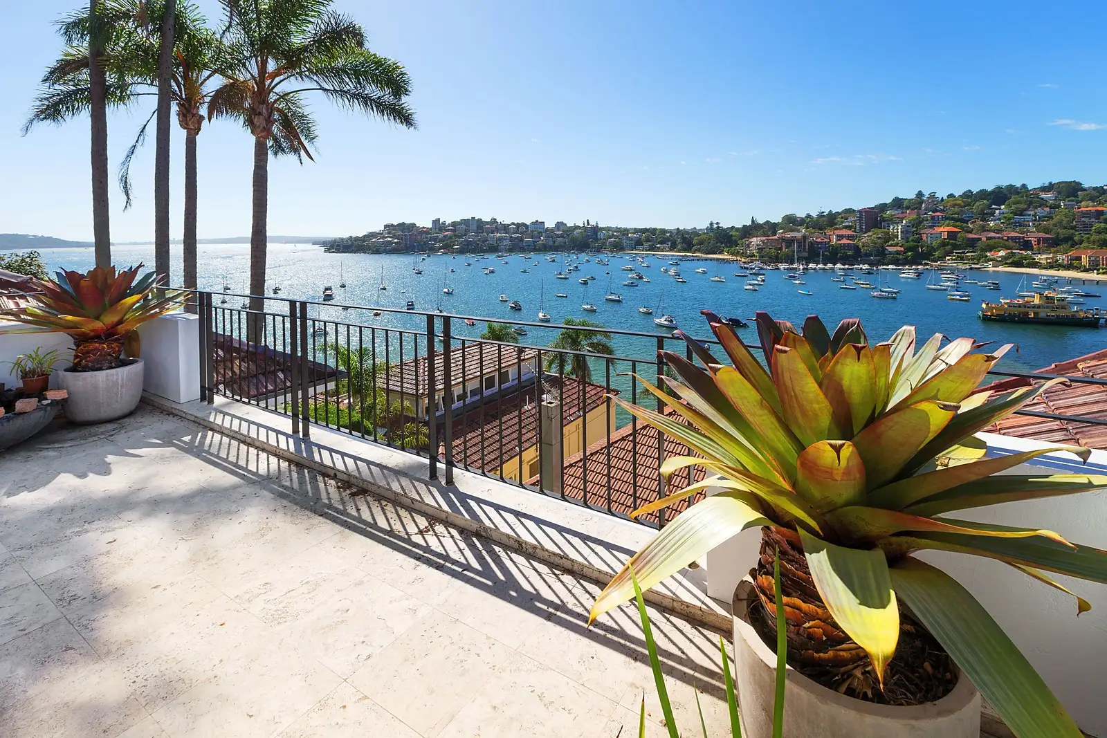 Darling Point, Darling Point - Thumbnail 2
