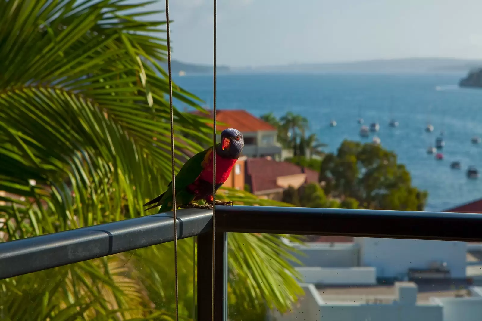8/8 Marathon Road, Darling Point, Darling Point - Thumbnail 8