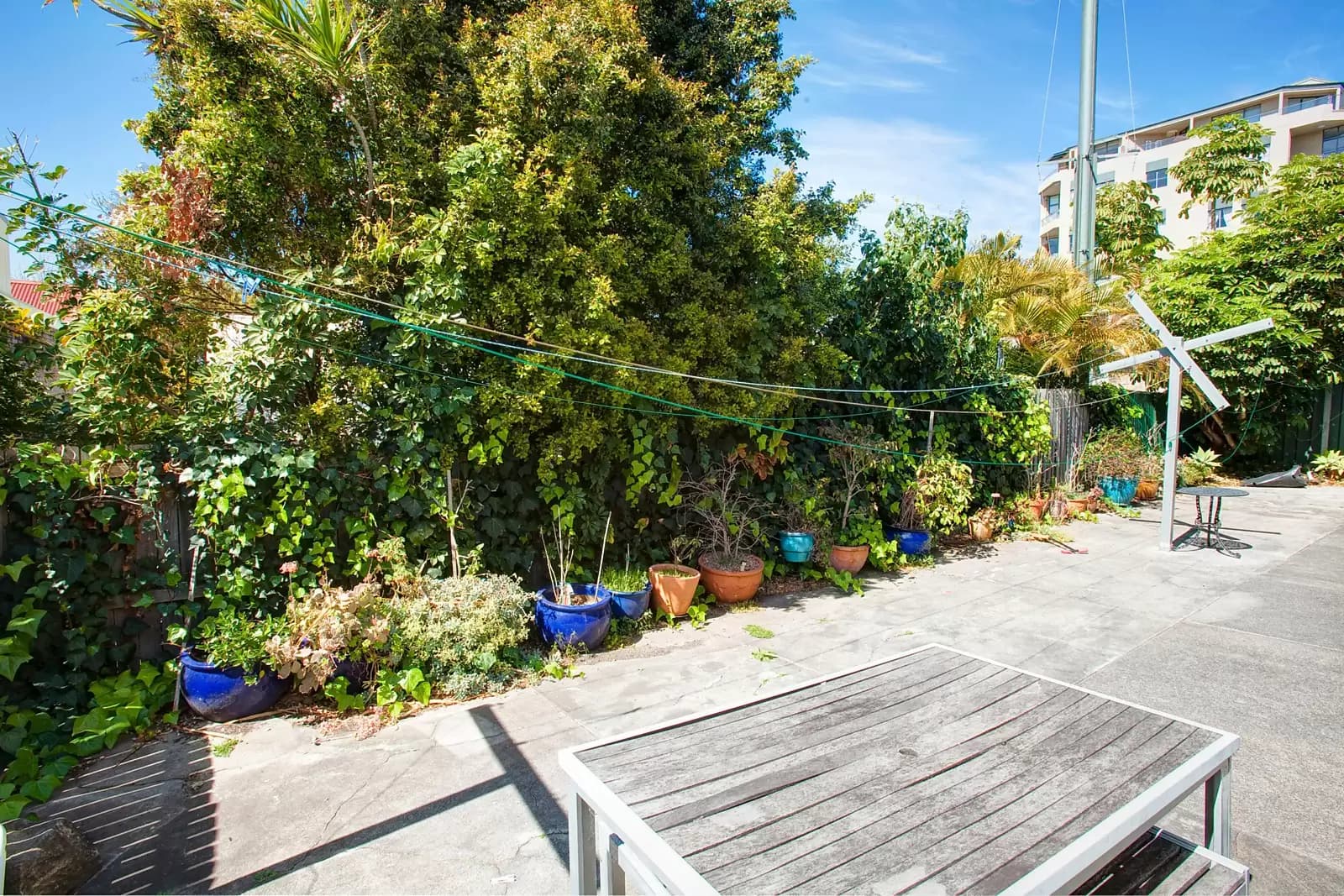 5-7 View Street, Annandale, Annandale - Thumbnail 4
