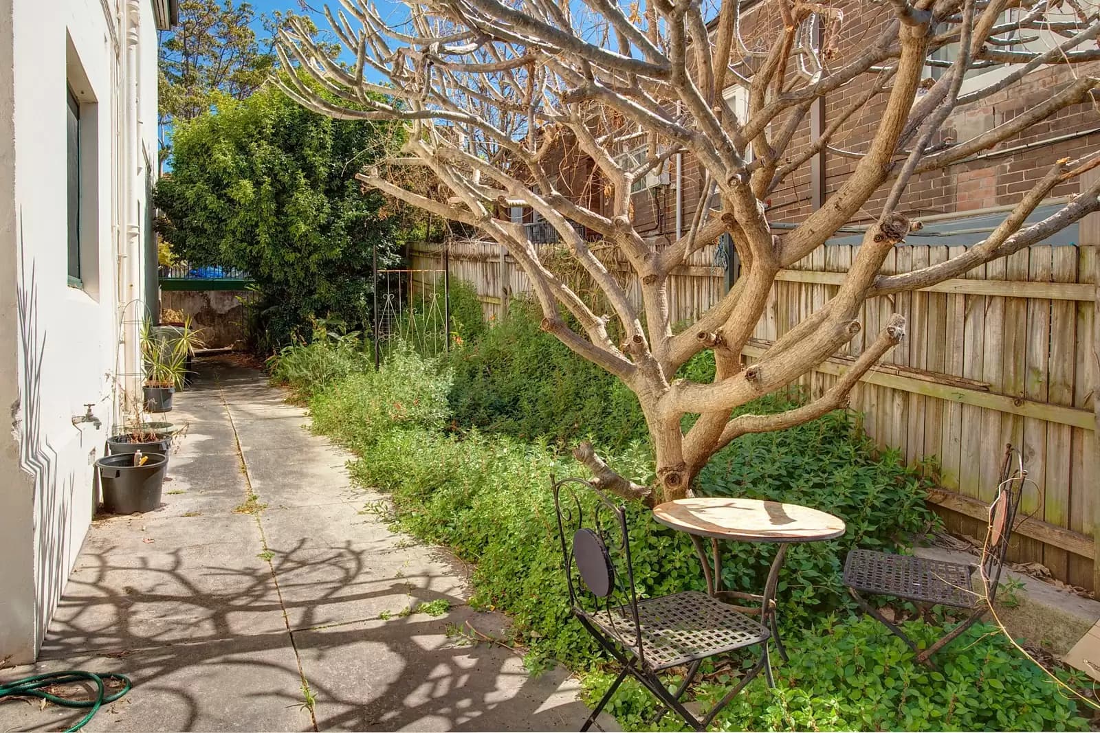 5-7 View Street, Annandale, Annandale - Thumbnail 6