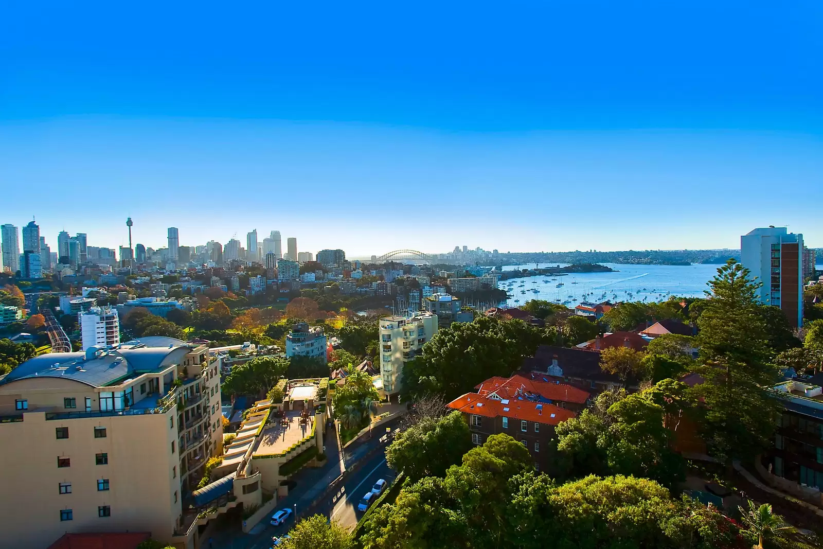 'Ranelagh' 1/3 Darling Point Road, Darling Point, Darling Point - Thumbnail 6