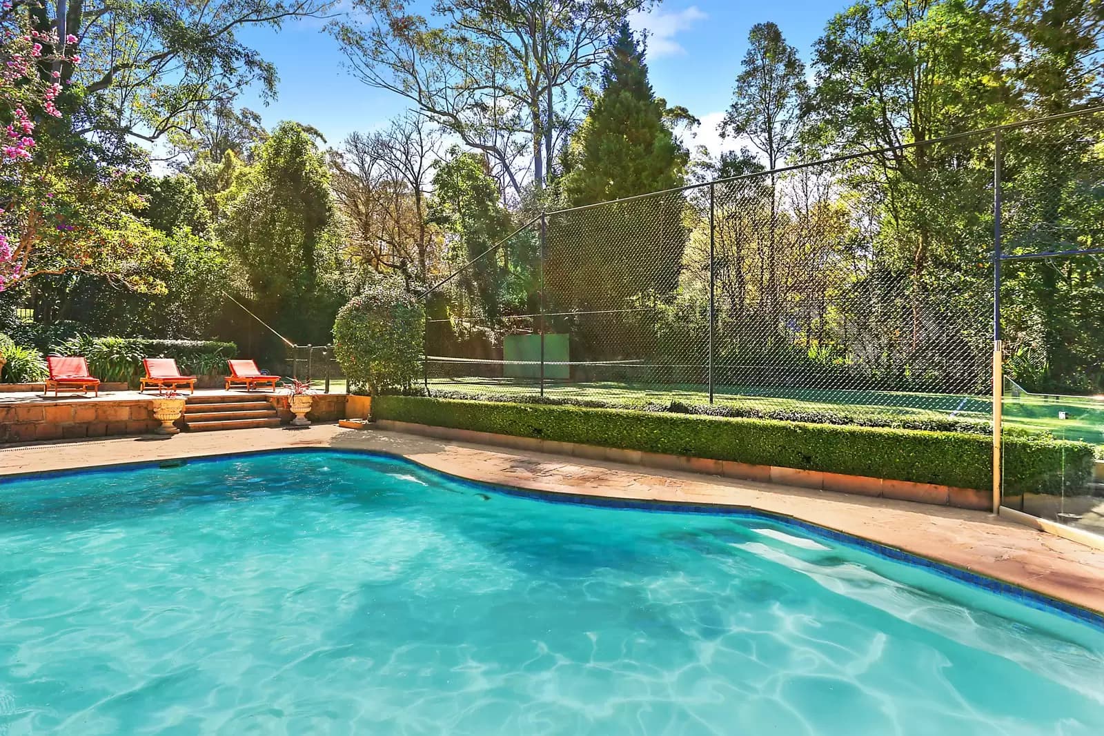 33 Pymble Avenue, Pymble, Pymble - Thumbnail 5