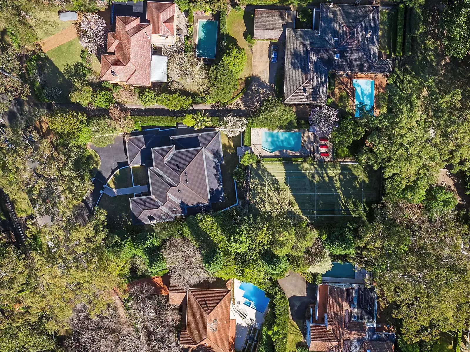 33 Pymble Avenue, Pymble, Pymble - Thumbnail 8