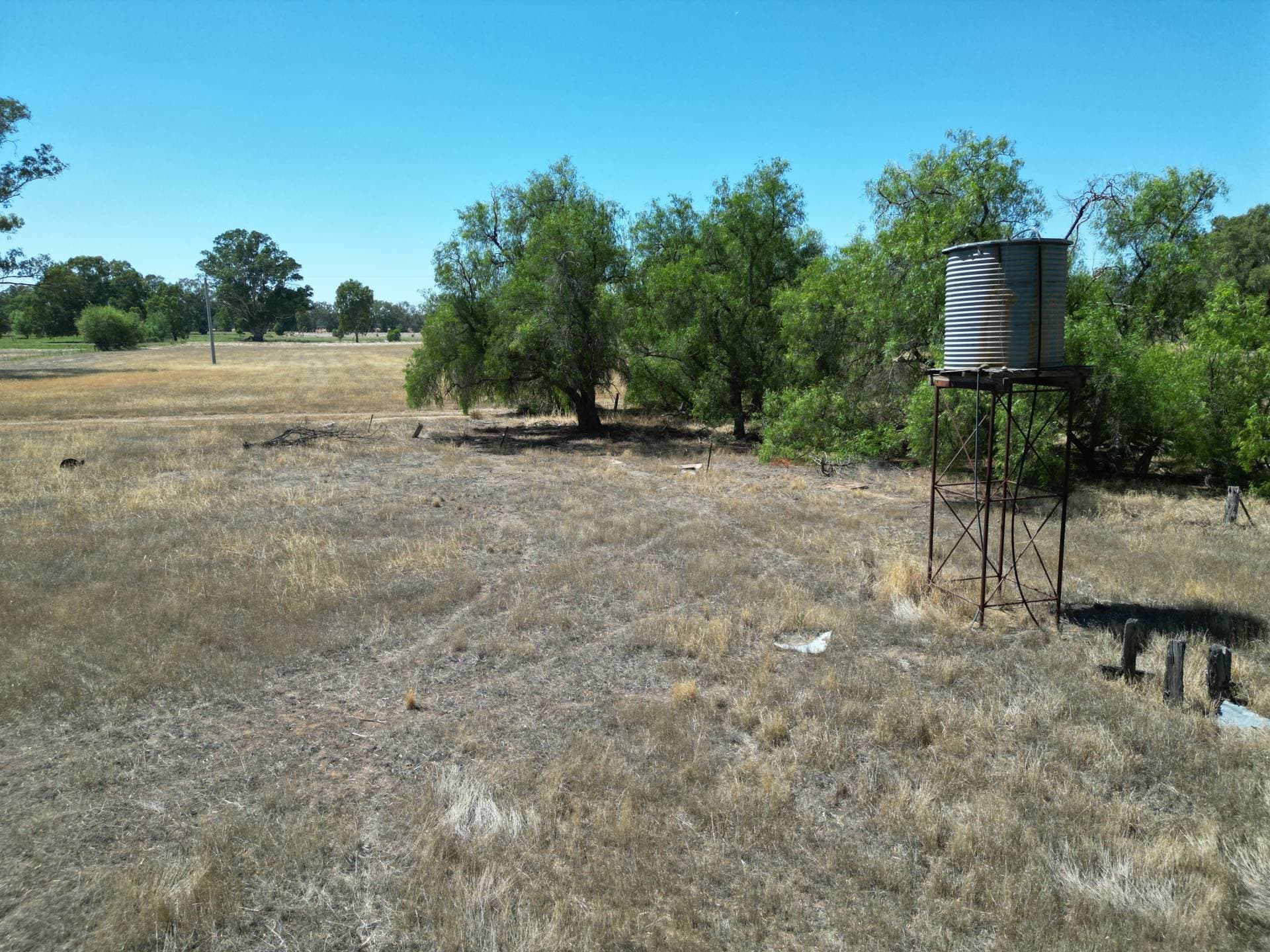 Allotment 5, 72 Friesian Rd, Koonoomoo - Thumbnail 5