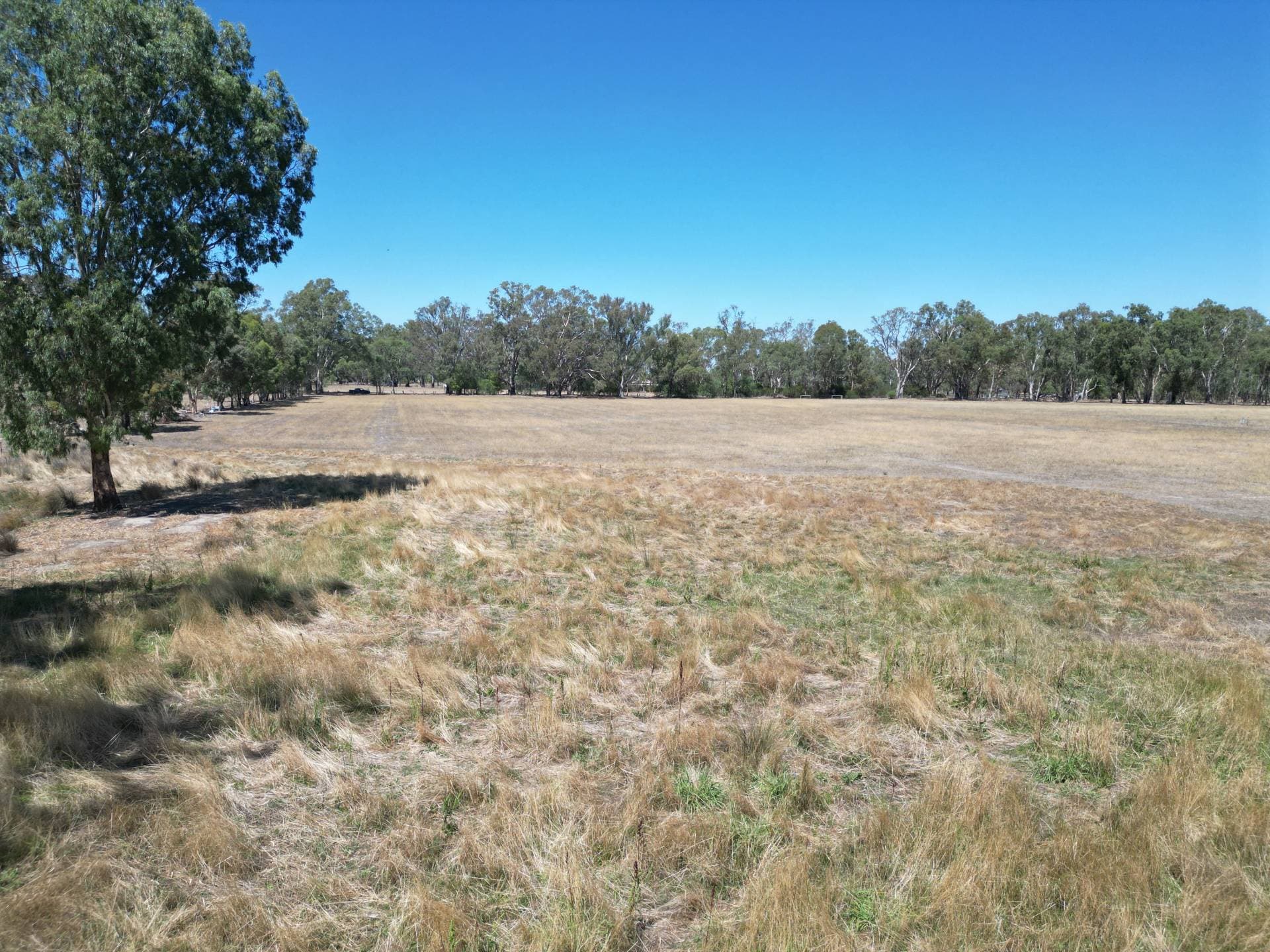 Allotment 5, 72 Friesian Rd, Koonoomoo - Thumbnail 7