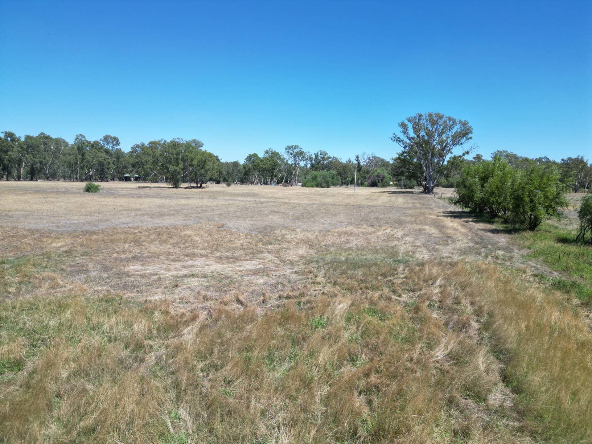 Allotment 5, 72 Friesian Rd, Koonoomoo - Thumbnail 8