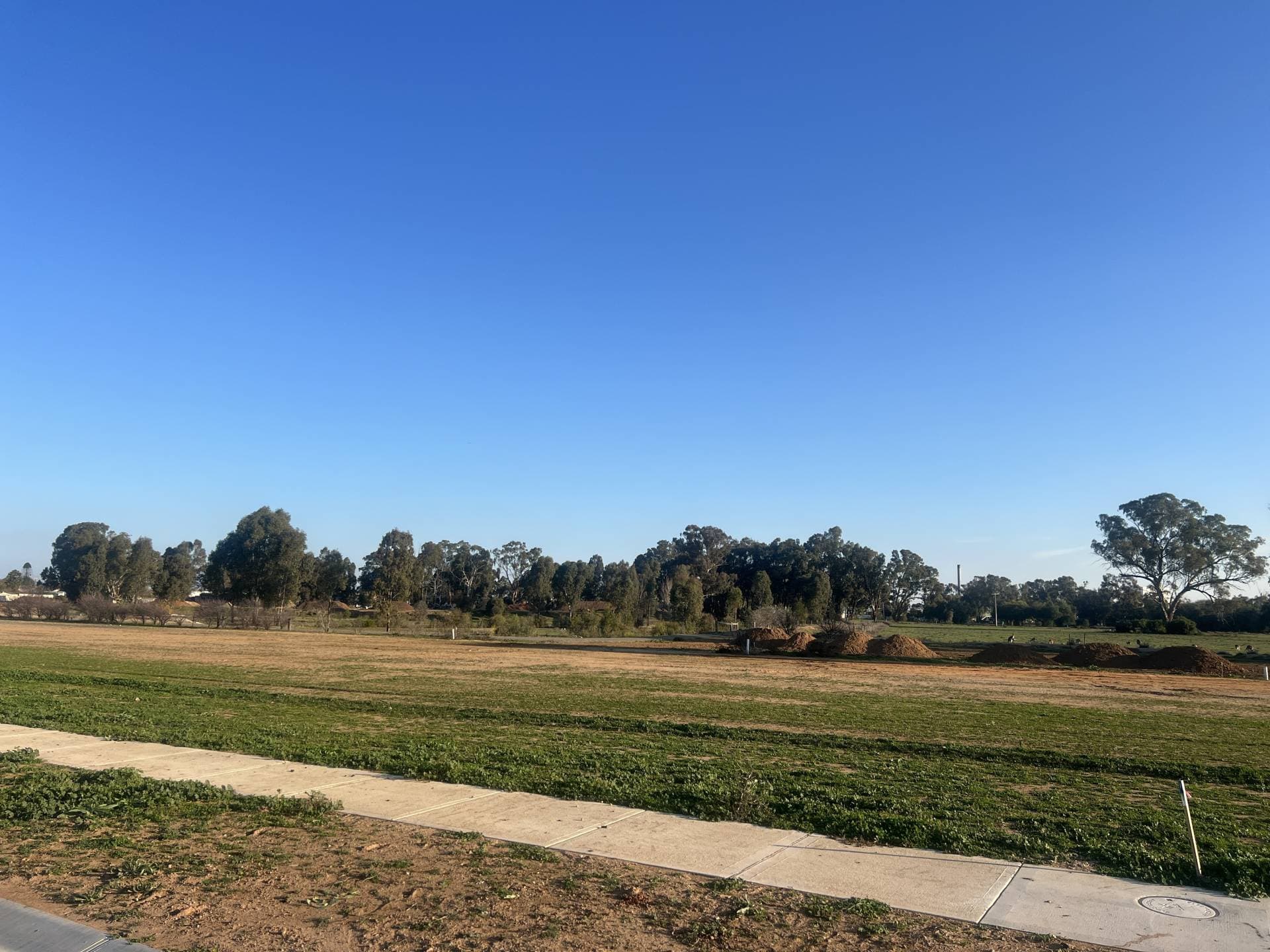 41 Grasso Drive, Cobram - Thumbnail 5