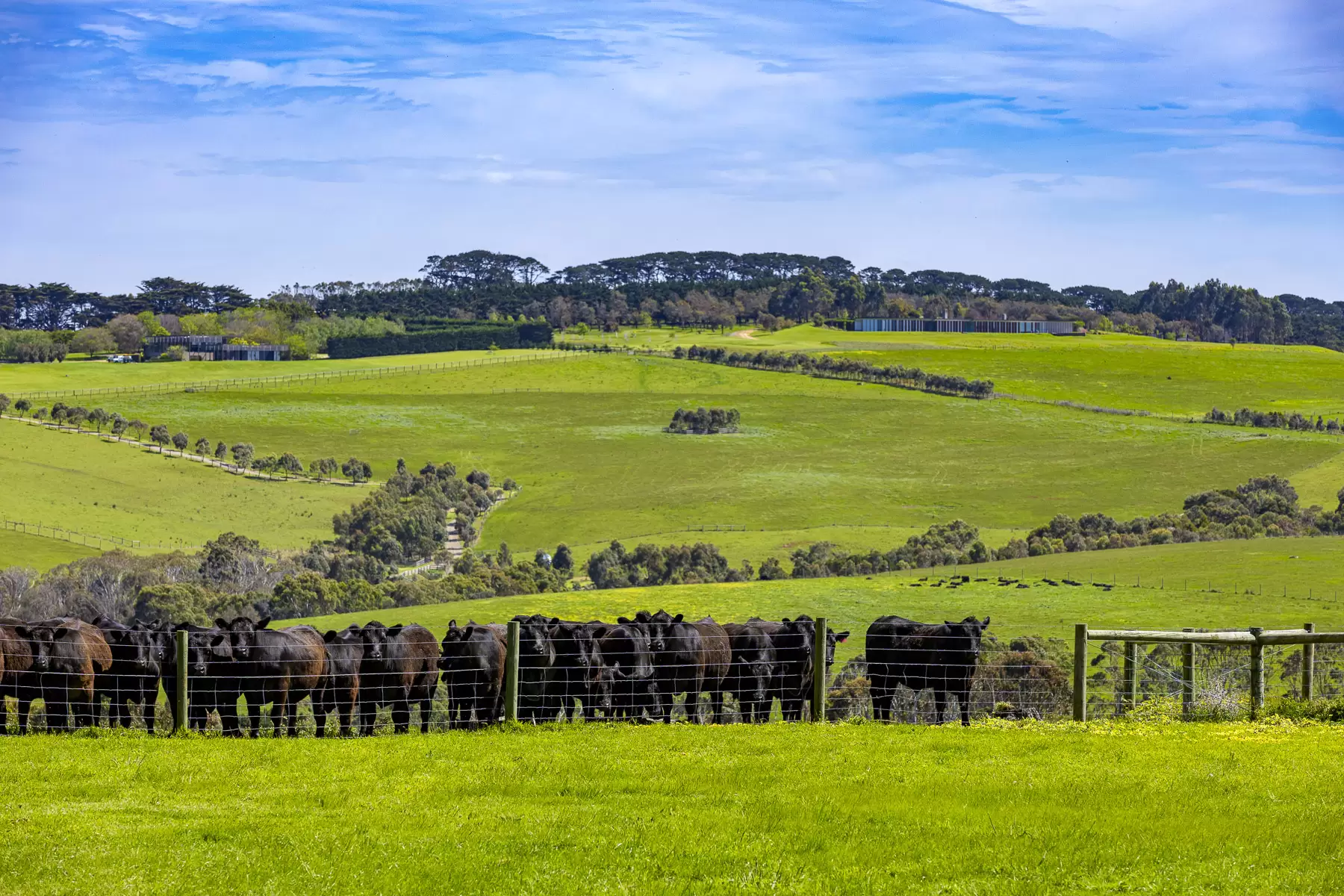 390 Keys Road, Flinders, Flinders - Thumbnail 3