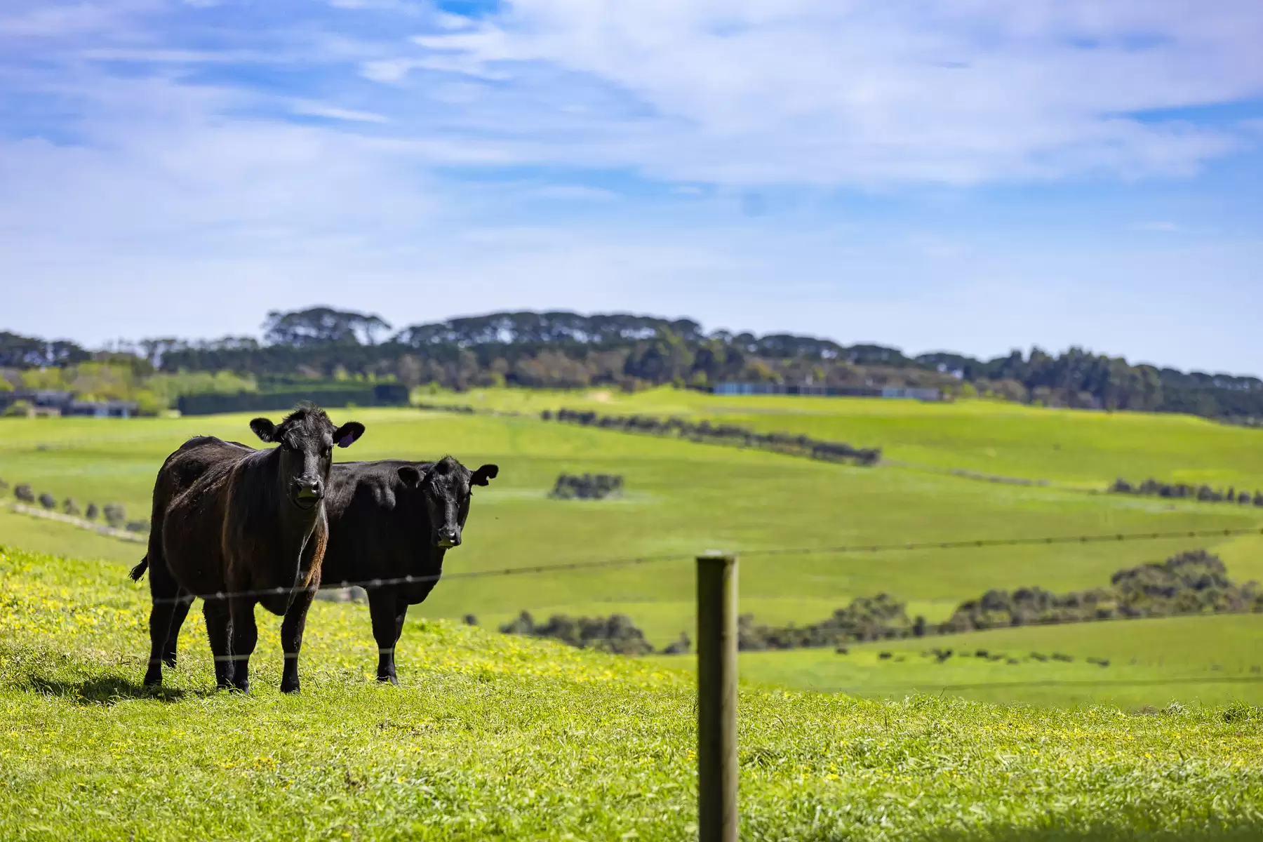 390 Keys Road, Flinders, Flinders - Thumbnail 4