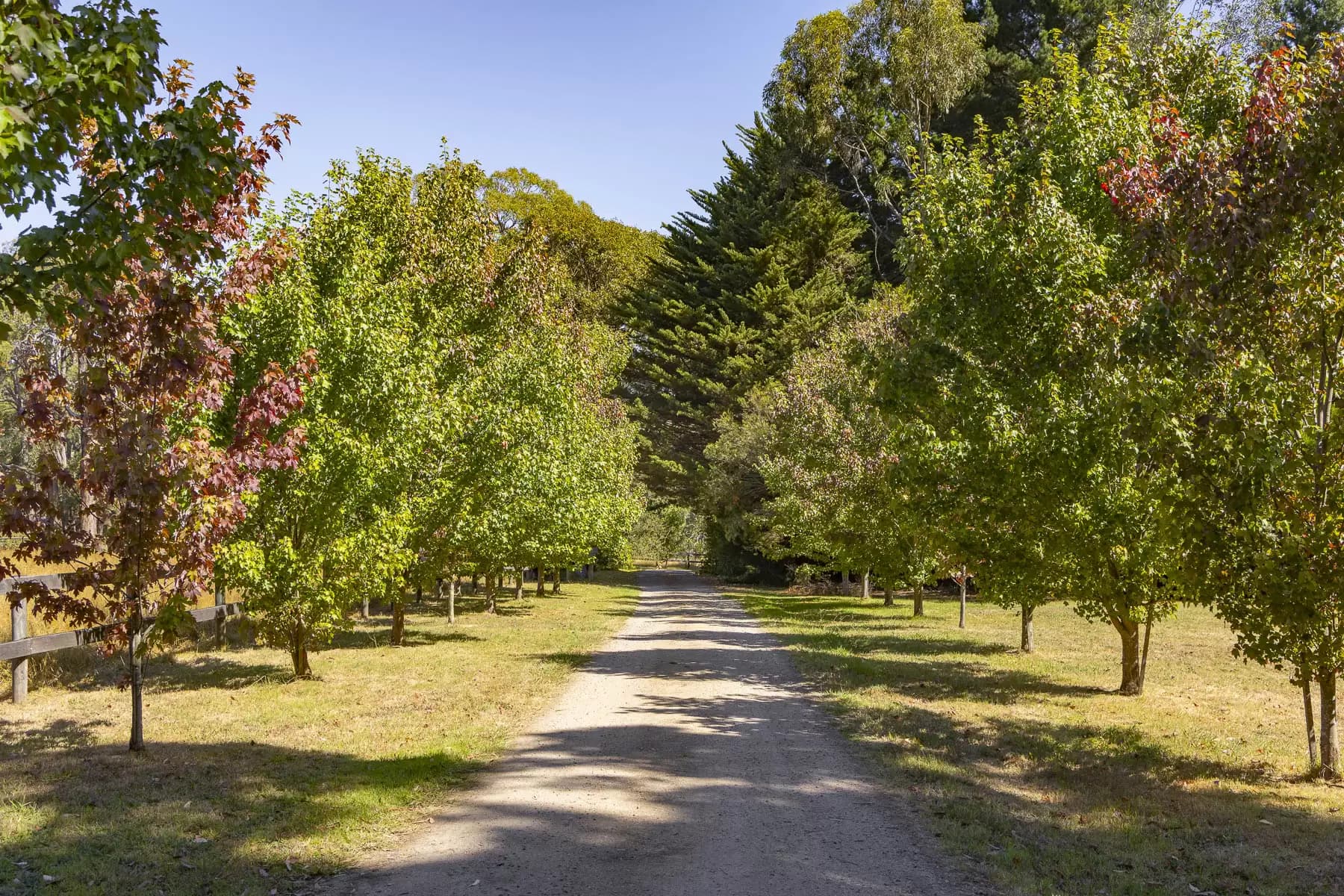 101 Stanleys Road, Red Hill South, Red Hill South - Thumbnail 4