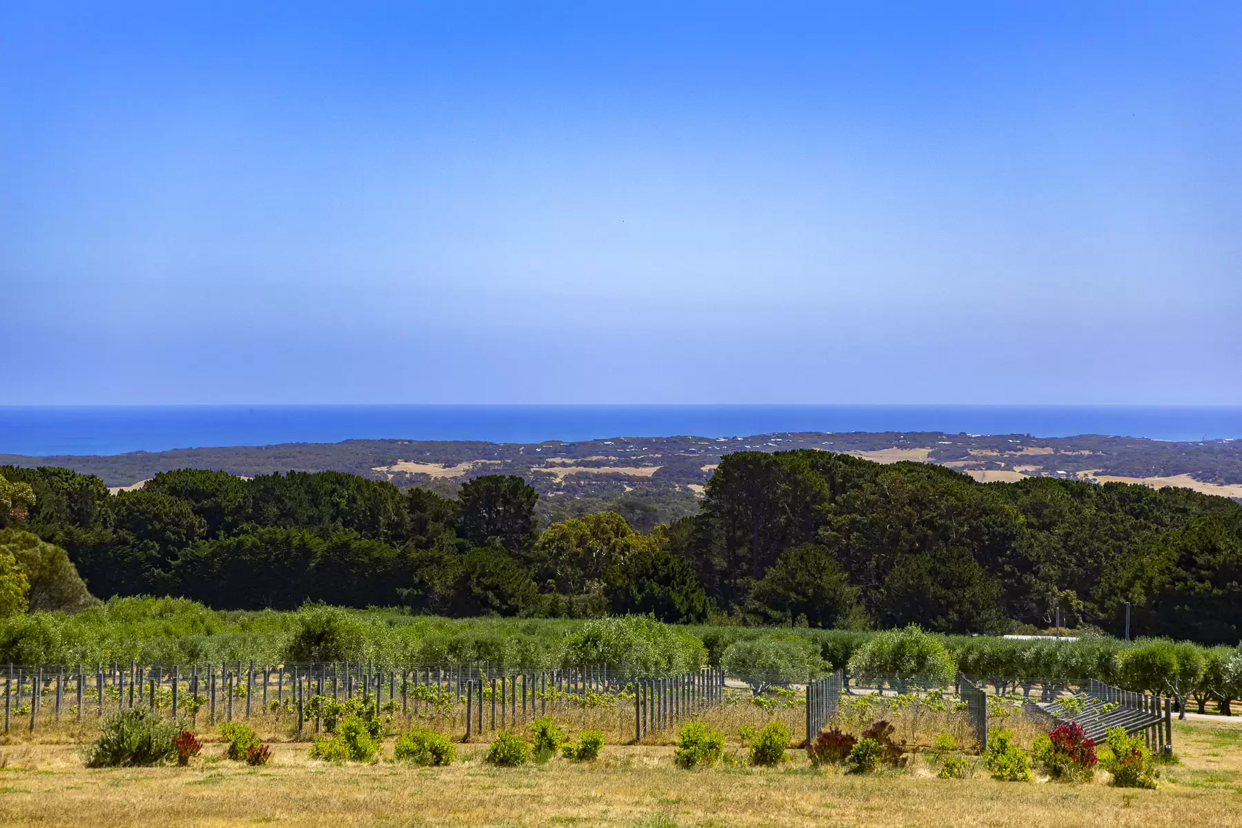 515 Grasslands Road, Boneo, Boneo - Image 1