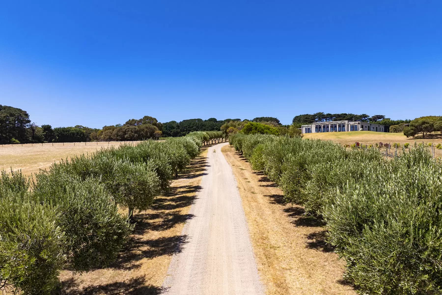 515 Grasslands Road, Boneo, Boneo - Thumbnail 5