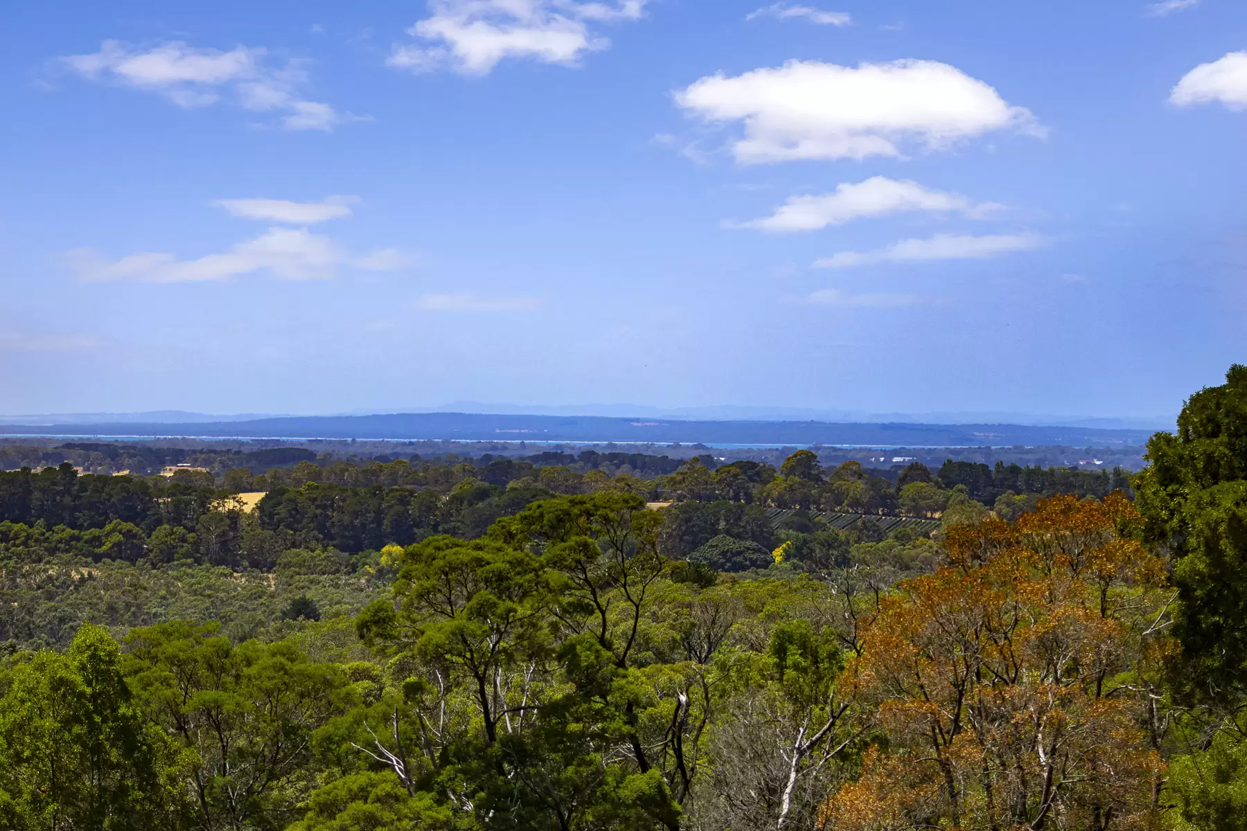 100 Stanleys Road, Red Hill South, Red Hill South - Image 1