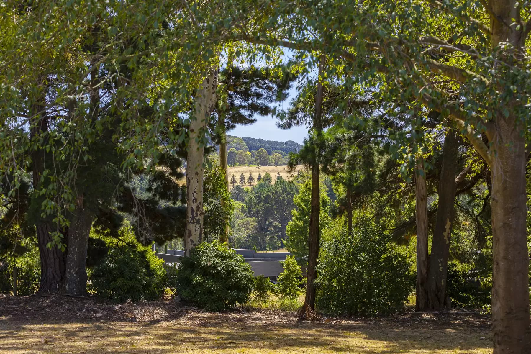 100 Stanleys Road, Red Hill South, Red Hill South - Thumbnail 8
