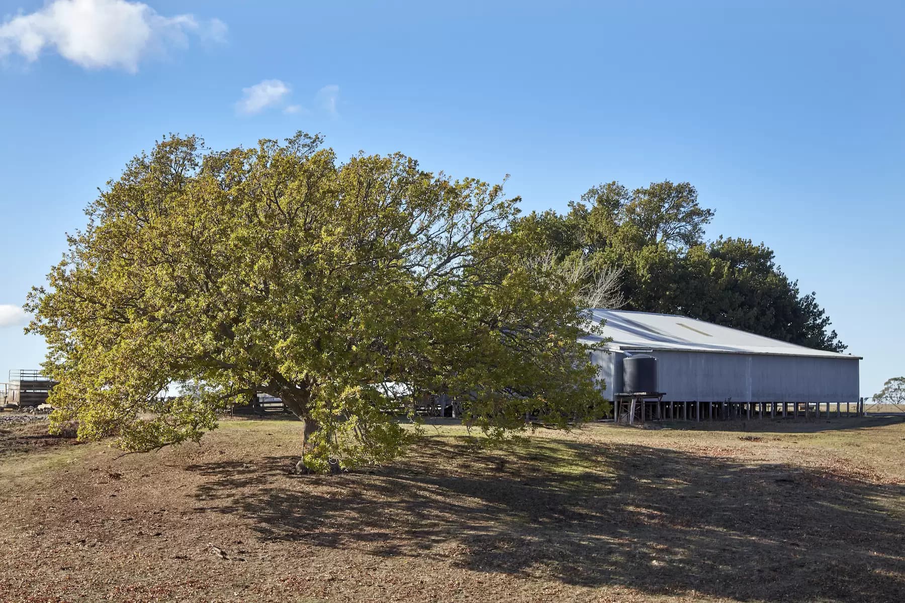 233 Ross Watt Road, Gisborne, Gisborne - Thumbnail 8