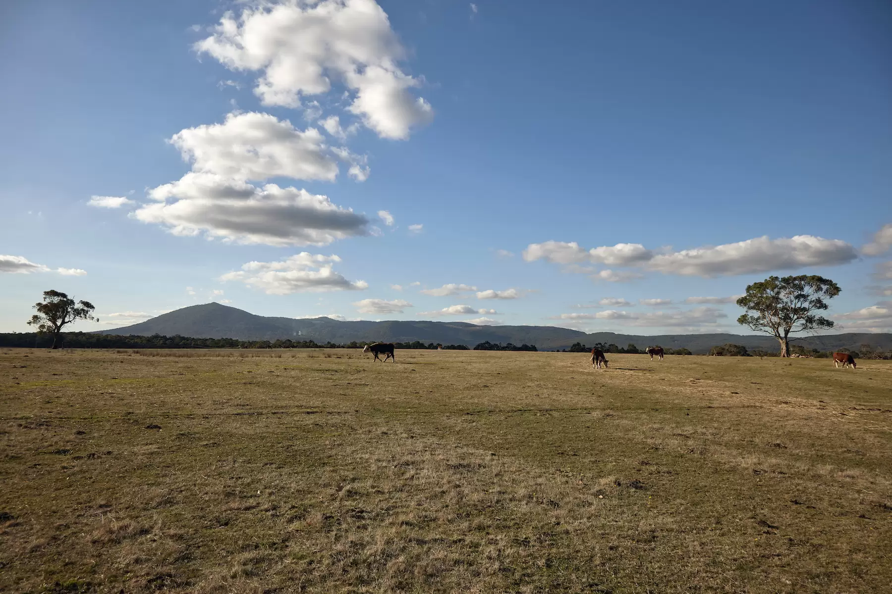65 Lawson Road, Gisborne, Gisborne - Thumbnail 2