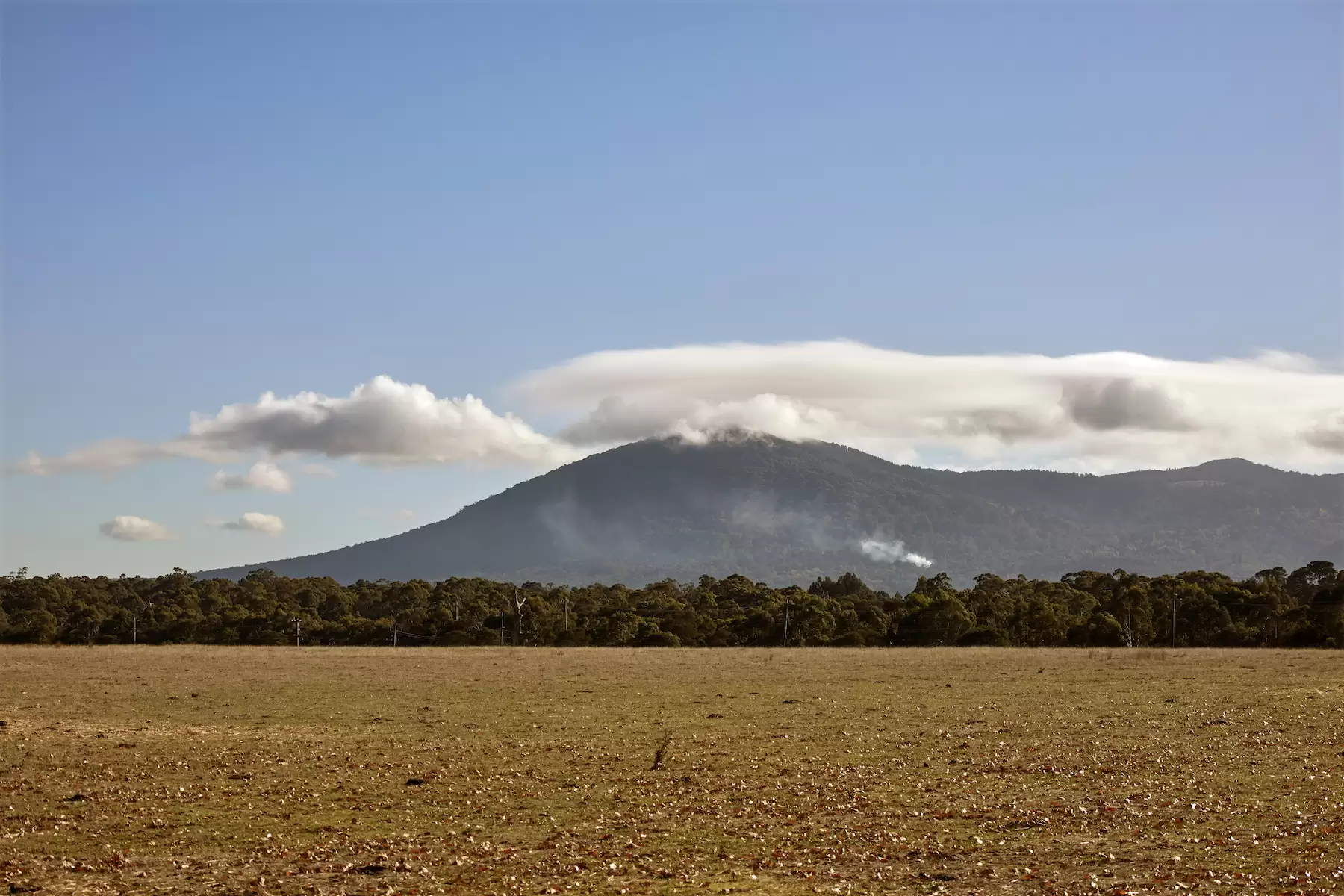 171 Ross Watt Road, Gisborne, Gisborne - Thumbnail 3