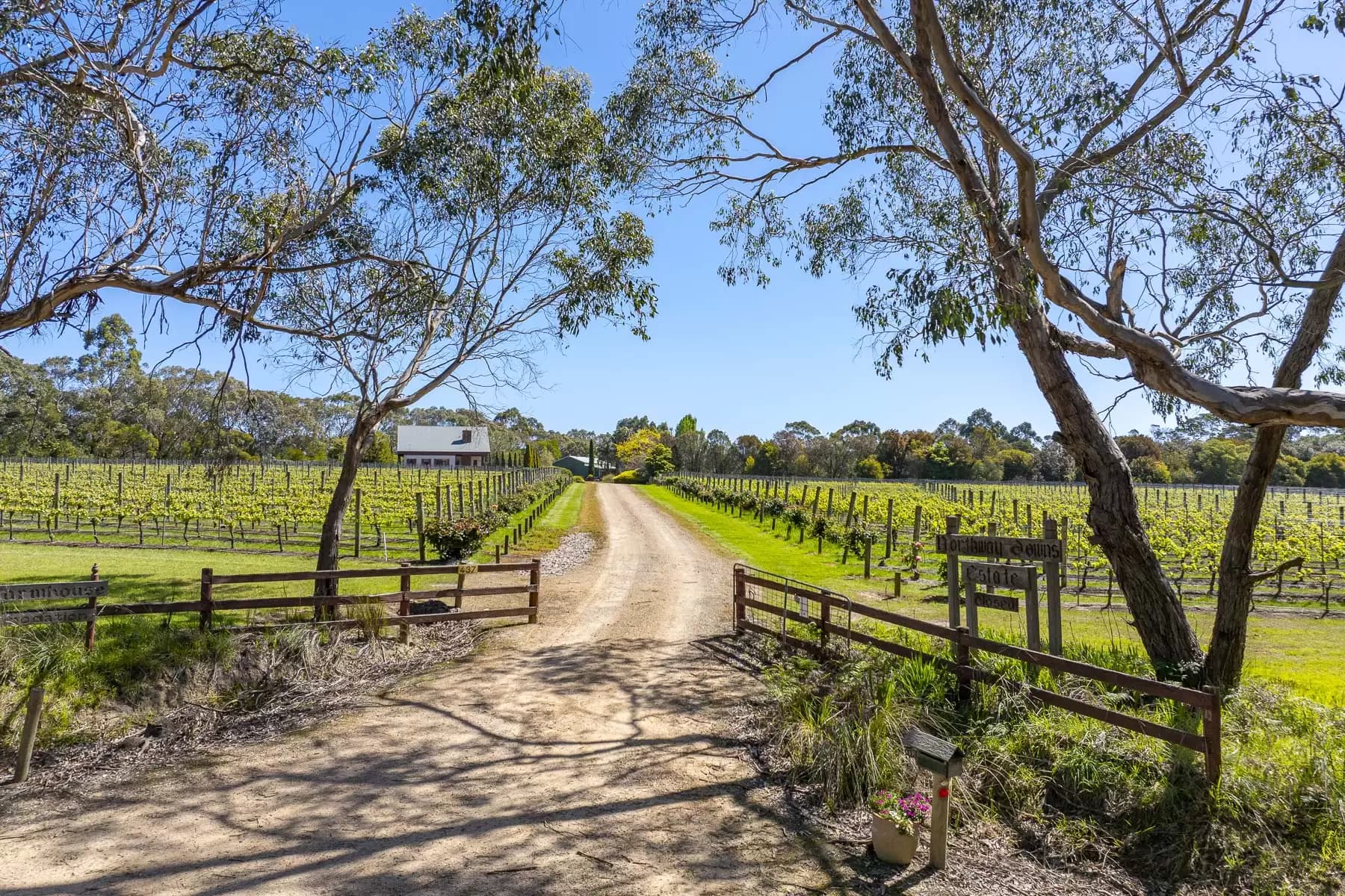 437 Stumpy Gully Road, Balnarring, Balnarring - Image 1