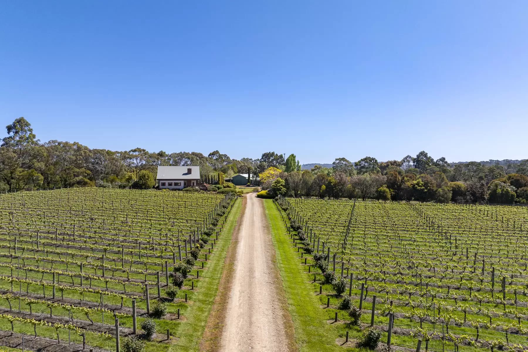 437 Stumpy Gully Road, Balnarring, Balnarring - Thumbnail 4