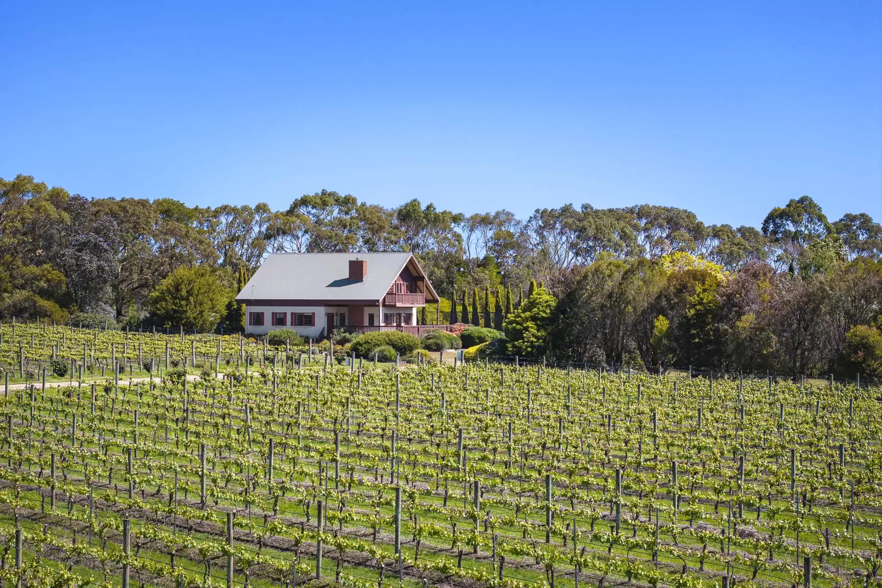 437 Stumpy Gully Road, Balnarring, Balnarring - Thumbnail 6