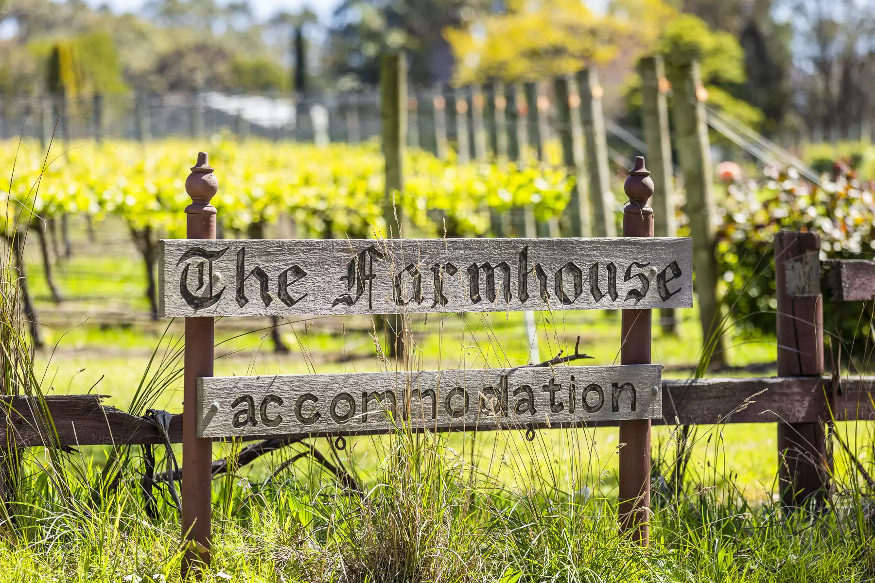 437 Stumpy Gully Road, Balnarring, Balnarring - Thumbnail 7