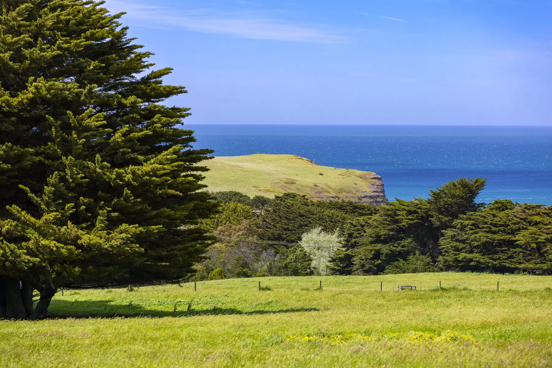 1747  Boneo Road, Flinders, Flinders - Thumbnail 8