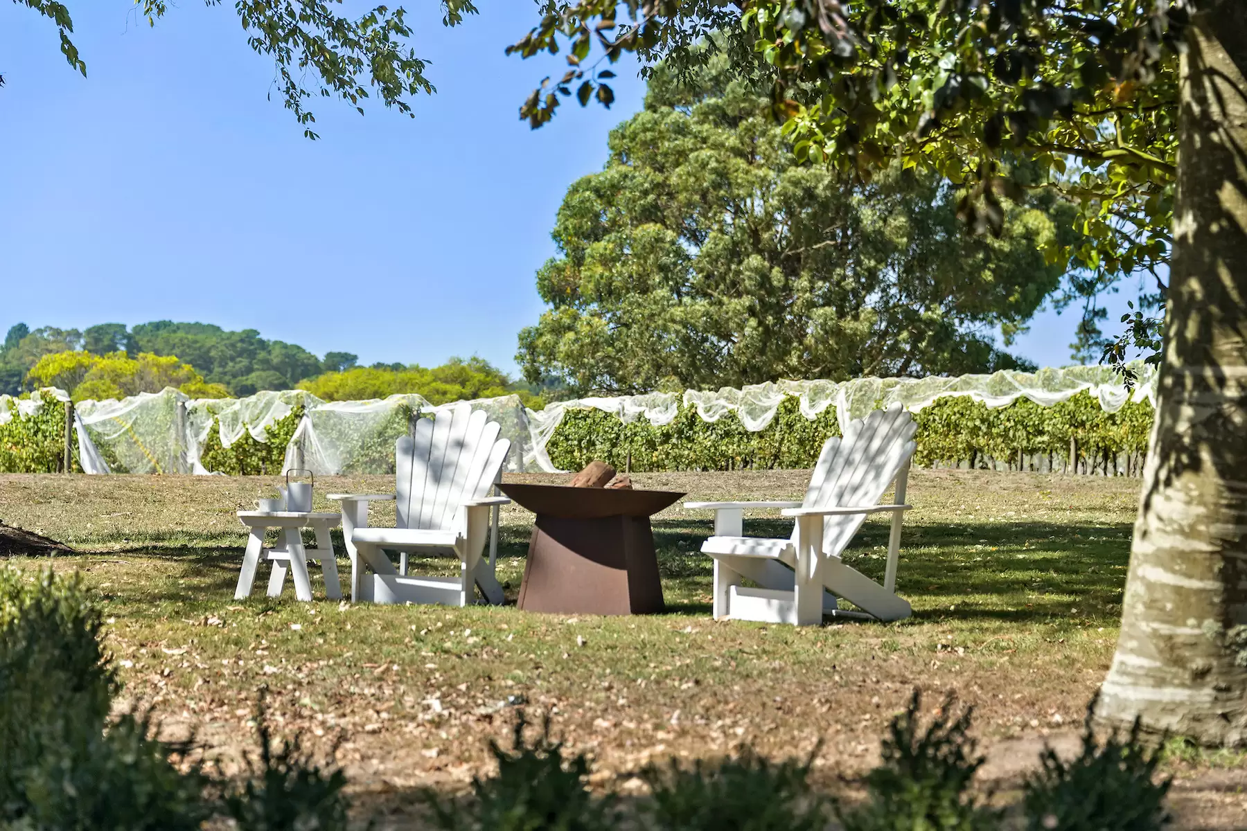 255 Main Creek Road, Main Ridge, Main Ridge - Thumbnail 2