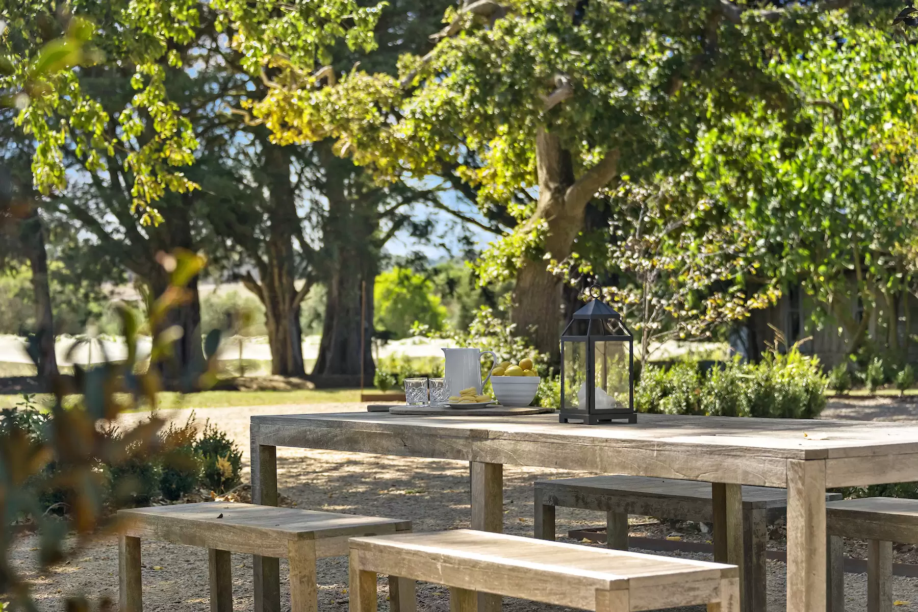 255 Main Creek Road, Main Ridge, Main Ridge - Thumbnail 4