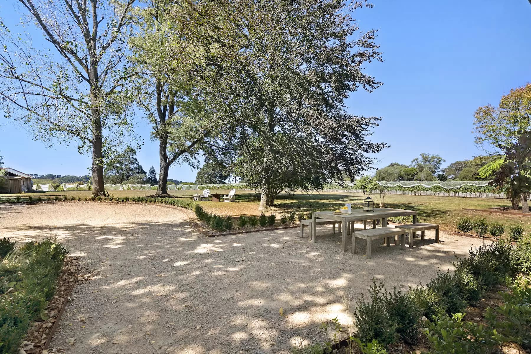255 Main Creek Road, Main Ridge, Main Ridge - Thumbnail 7