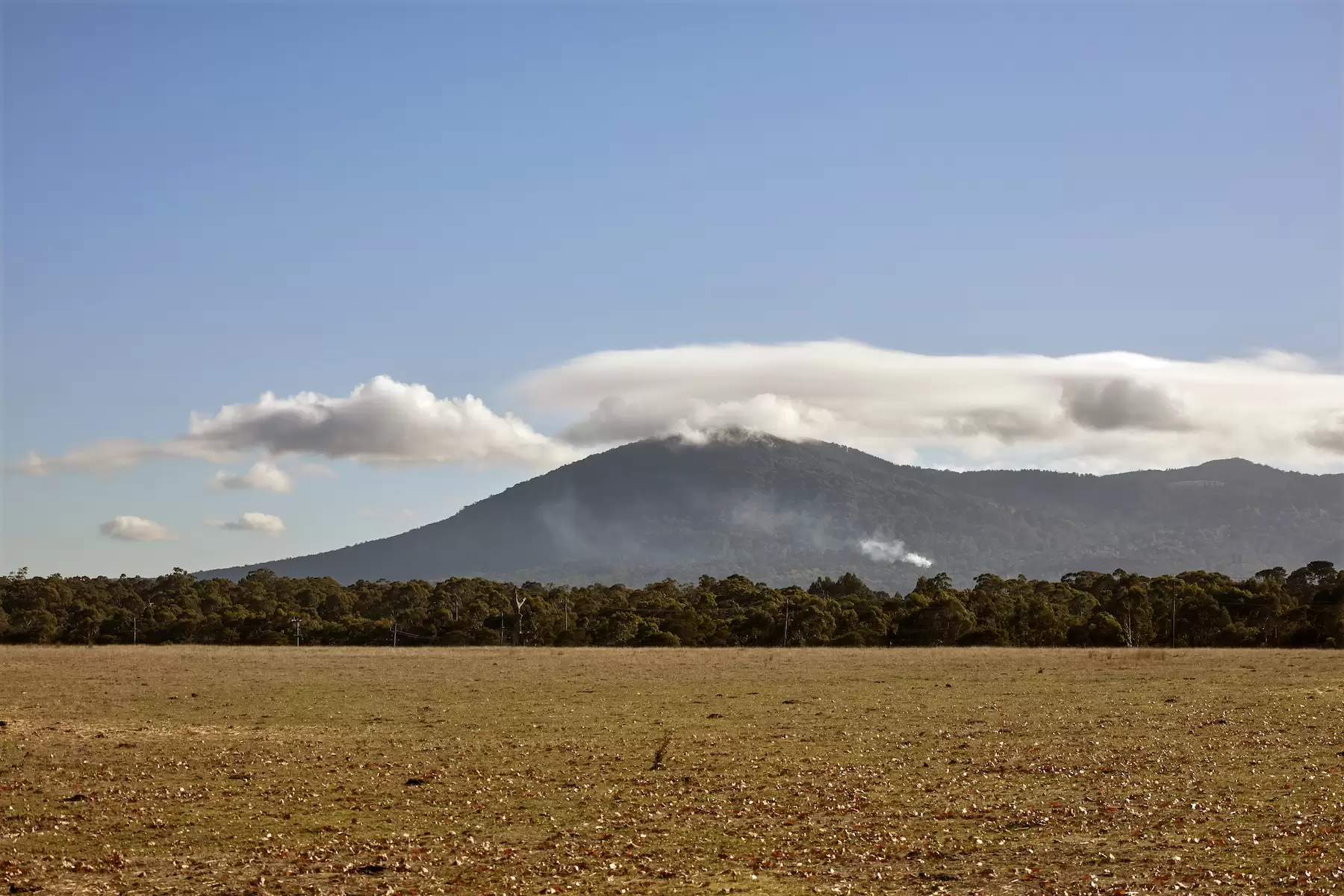 9 Lawson Road, Gisborne, Gisborne - Thumbnail 5