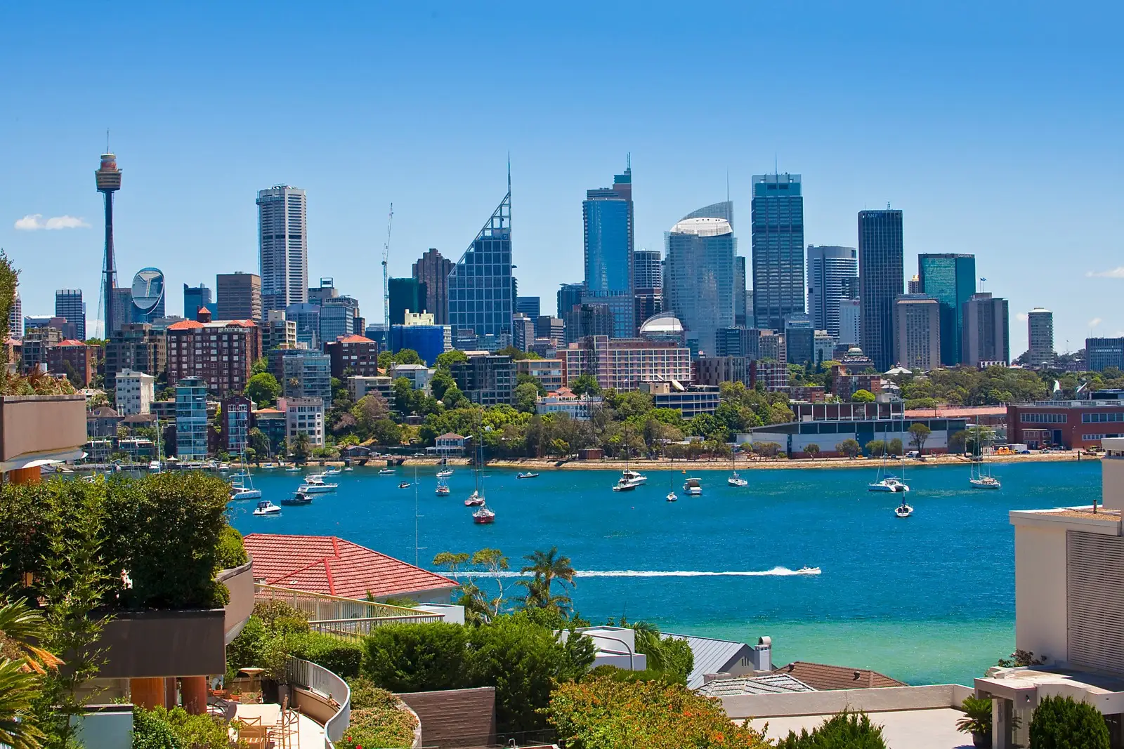 Darling Point, Darling Point - Thumbnail 3