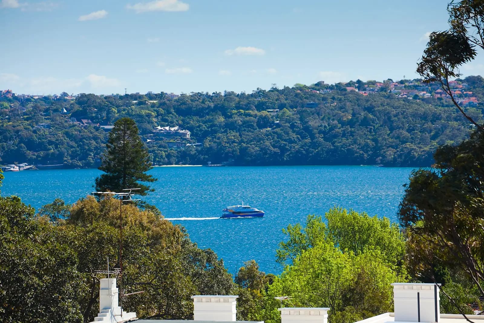 Darling Point, Darling Point - Thumbnail 3