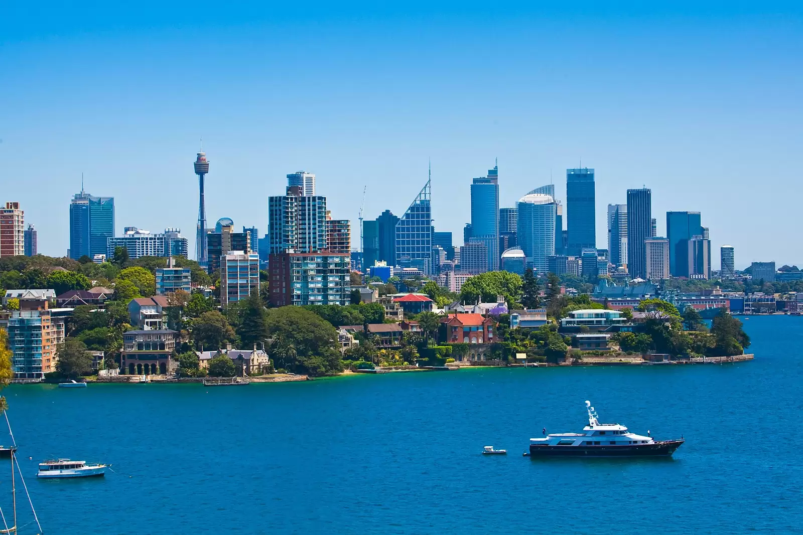 Point Piper, Point Piper - Thumbnail 6