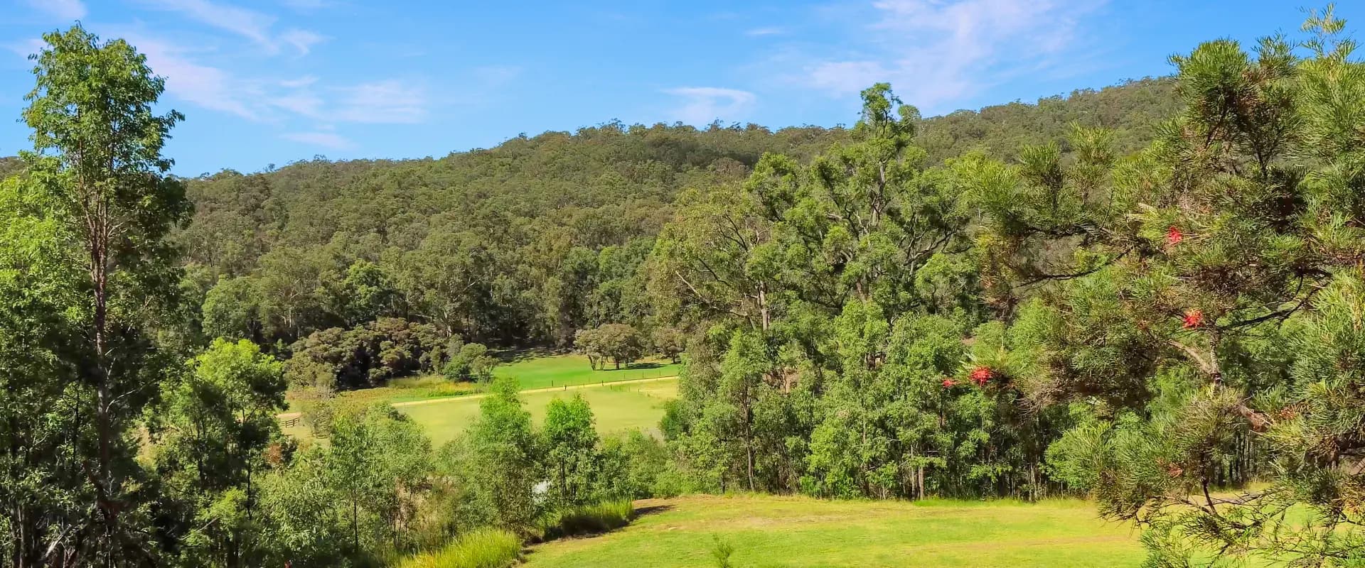 898 Yango Creek Road, Laguna, Laguna - Thumbnail 7