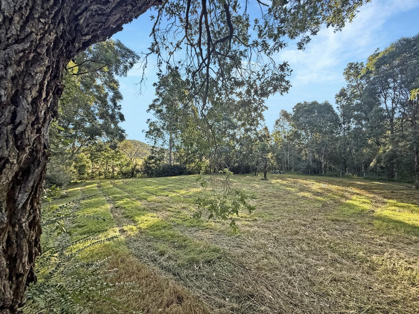 2938 Paynes Crossing Rd, Wollombi, Wollombi - Image 1