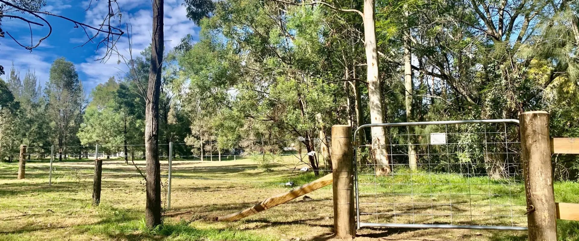 2938 Paynes Crossing Rd, Wollombi, Wollombi - Thumbnail 4