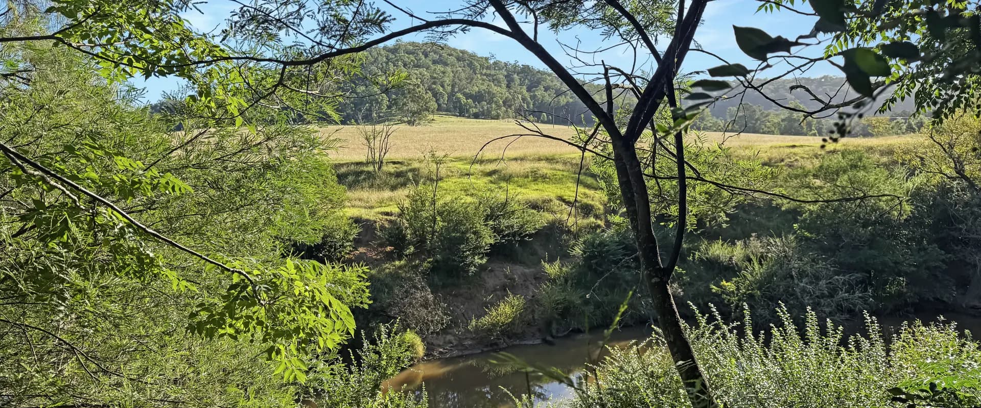 2938 Paynes Crossing Rd, Wollombi, Wollombi - Thumbnail 5