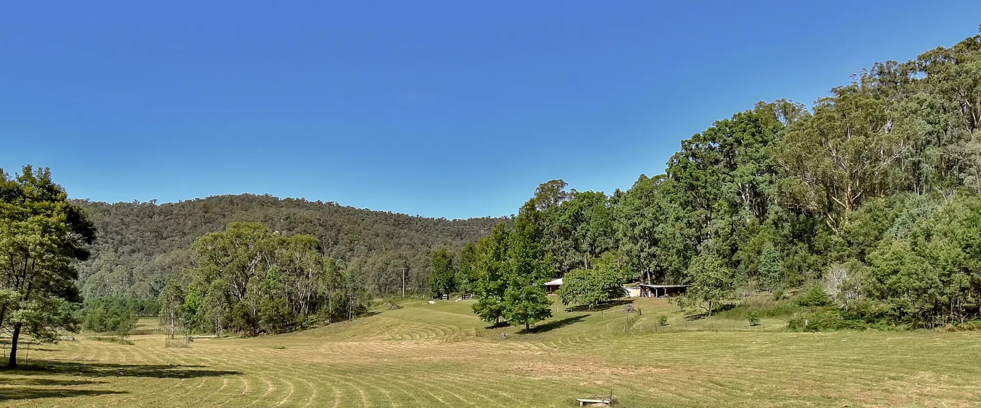 332-388 Upper Yango Creek Road, Laguna, Laguna - Thumbnail 7
