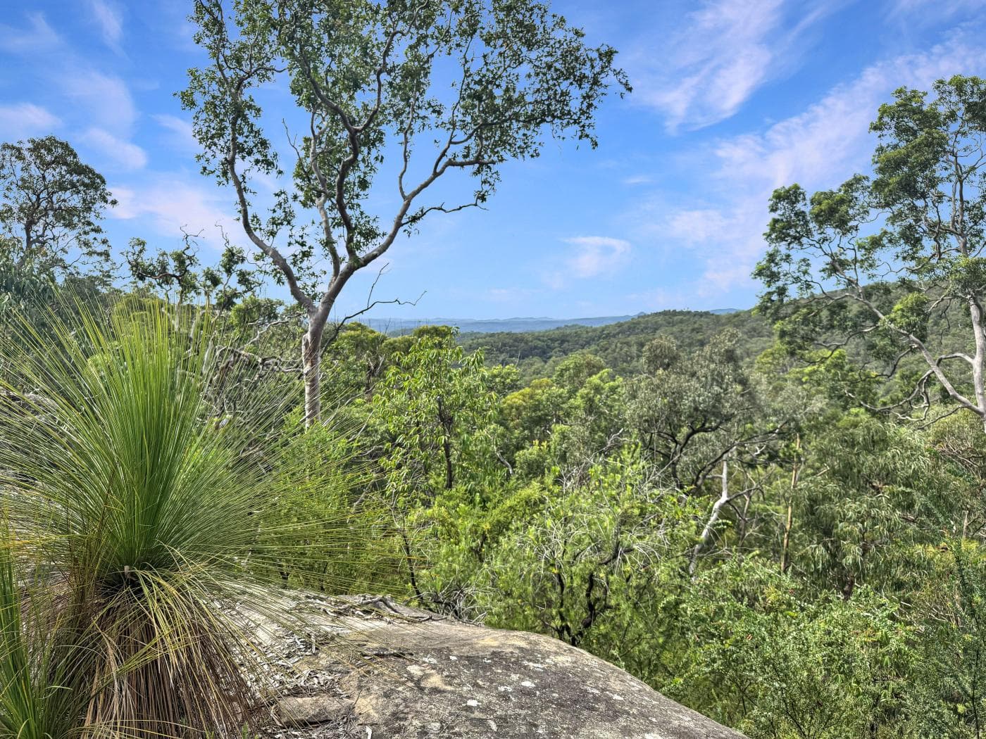 112 Finchley Track, Laguna, Laguna - Image 1