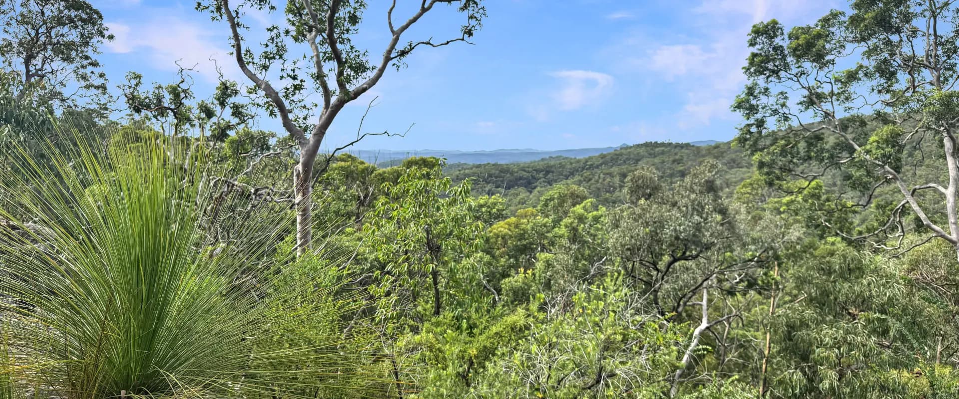 112 Finchley Track, Laguna, Laguna - Thumbnail 2