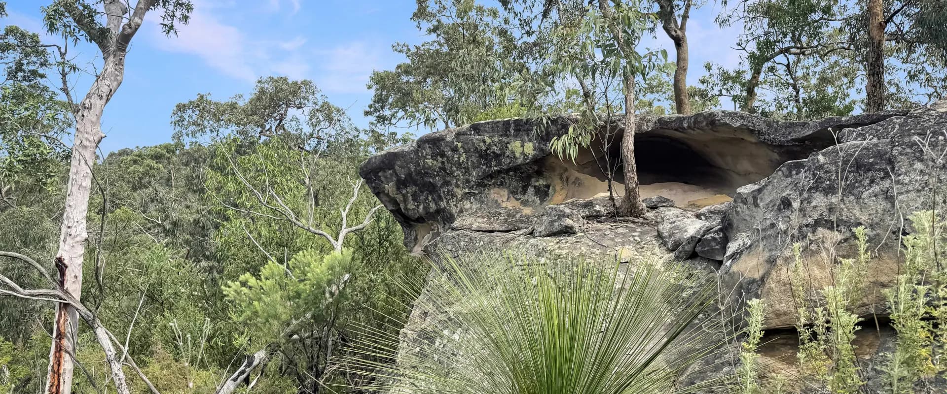112 Finchley Track, Laguna, Laguna - Thumbnail 3