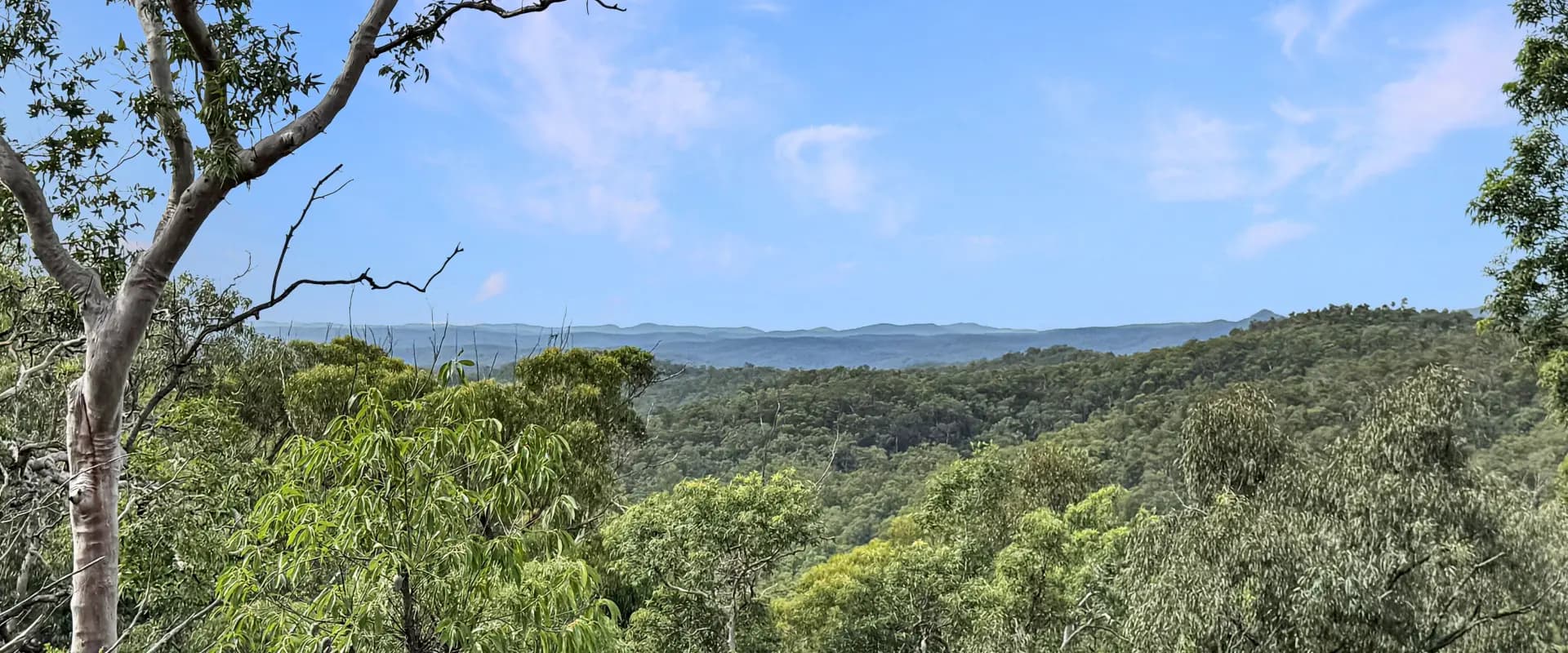 112 Finchley Track, Laguna, Laguna - Thumbnail 4