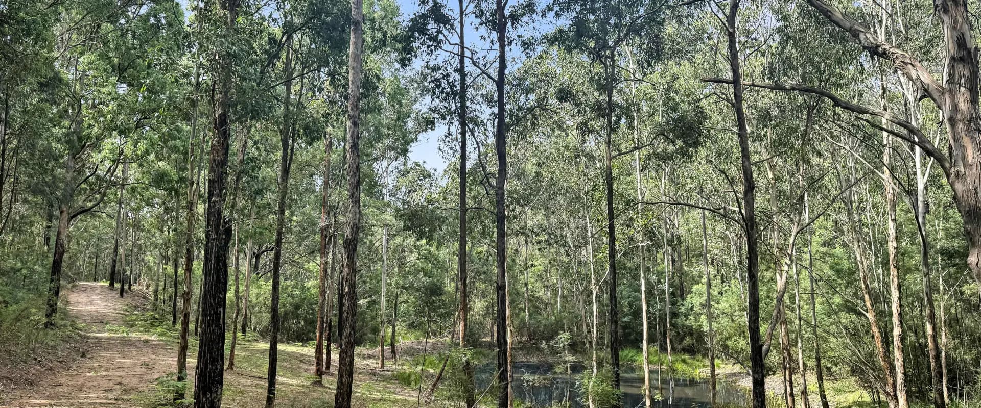 112 Finchley Track, Laguna, Laguna - Thumbnail 5