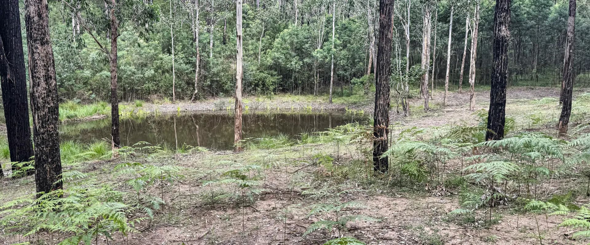 112 Finchley Track, Laguna, Laguna - Thumbnail 6