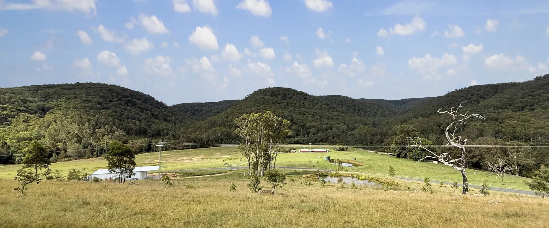 Lot 6 Paynes Crossing Rd, Paynes Crossing, Paynes Crossing - Thumbnail 2