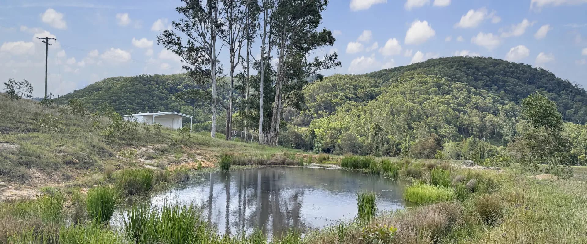 Lot 6 Paynes Crossing Rd, Paynes Crossing, Paynes Crossing - Thumbnail 6