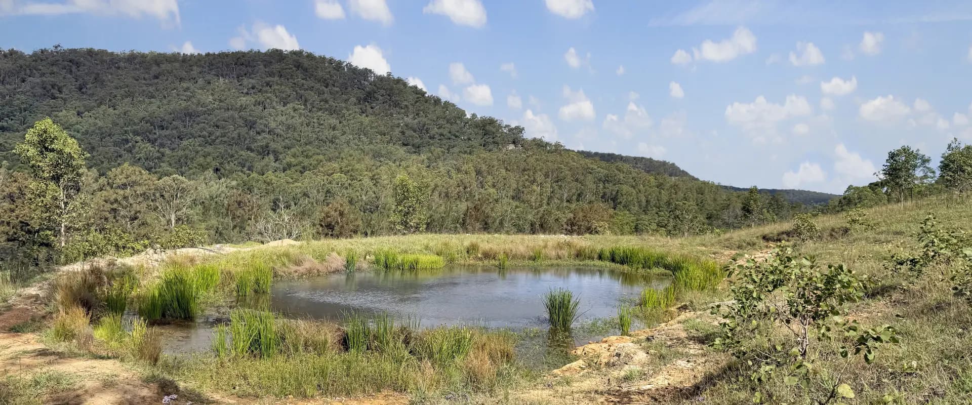 Lot 6 Paynes Crossing Rd, Paynes Crossing, Paynes Crossing - Thumbnail 7