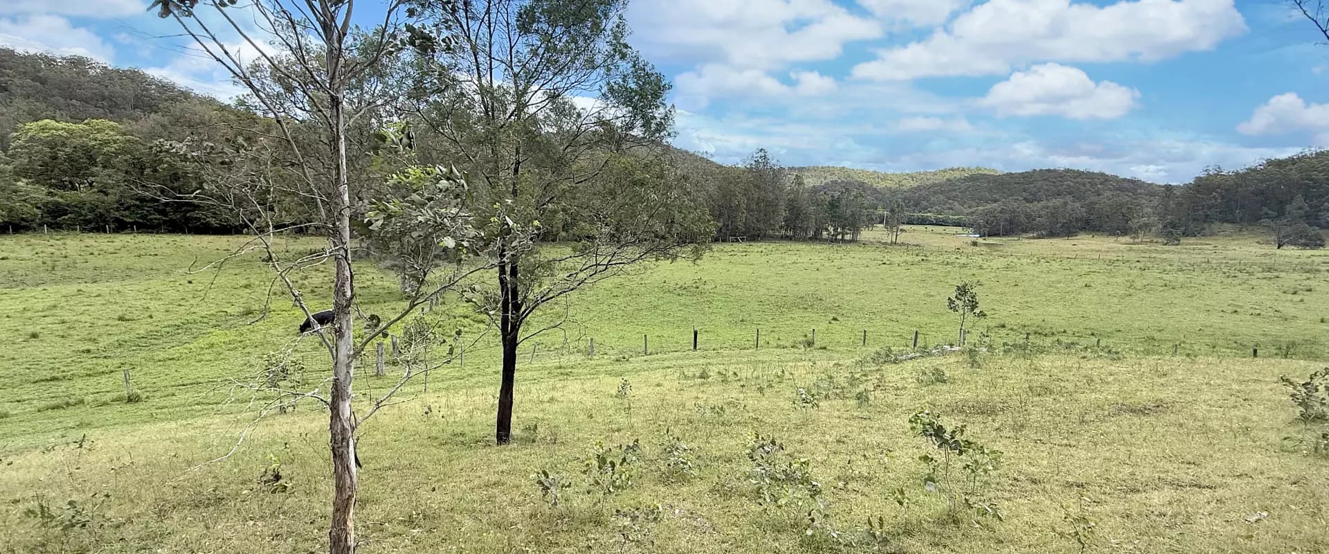 281 Watagan Creek Rd, Laguna, Laguna - Thumbnail 6