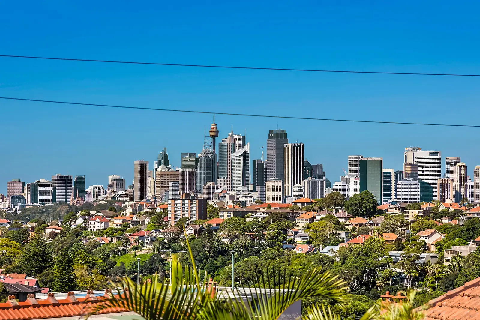 14A Holt Avenue, Mosman, Mosman - Thumbnail 2